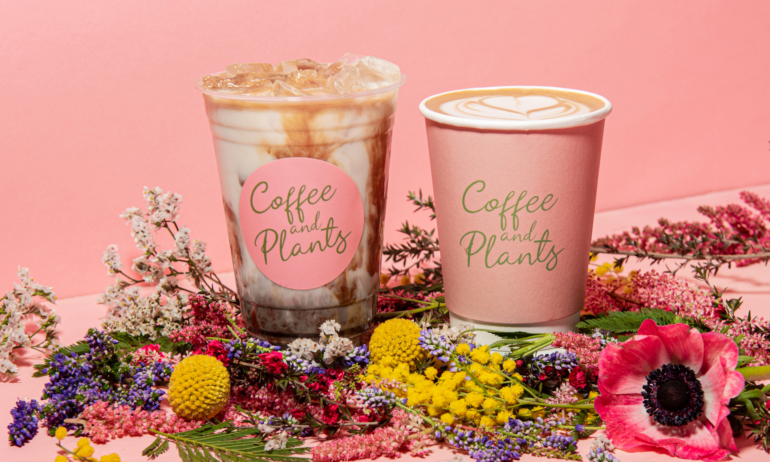 Coffee and Plants photo 2