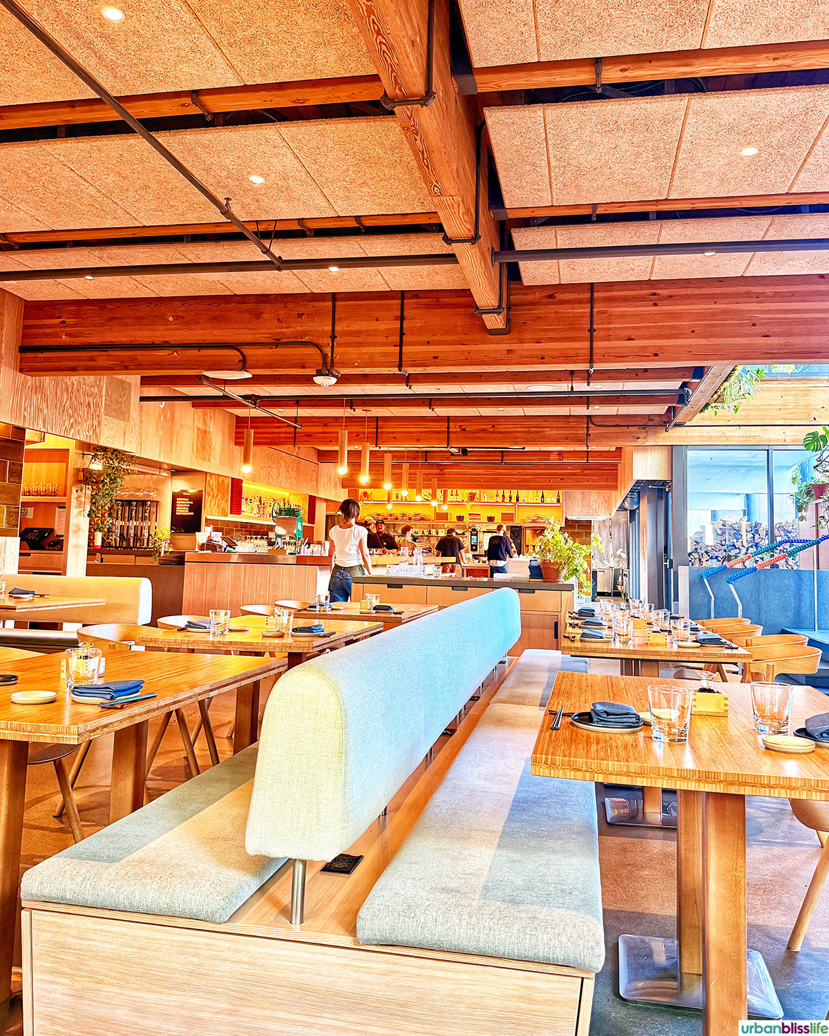 Takibi | Japanese Ramen & Restaurant photo 1