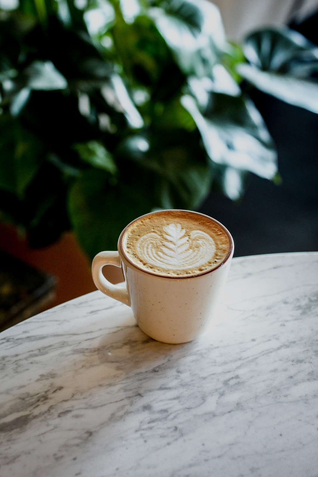 Roamer Coffee House photo 1