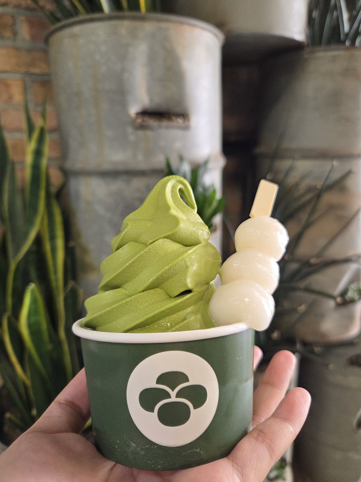 United Matcha photo 3