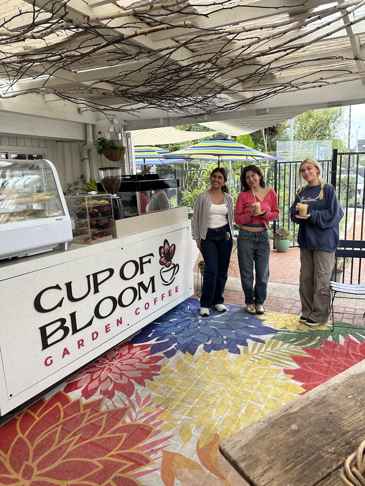Cup of Bloom La Jolla photo 2