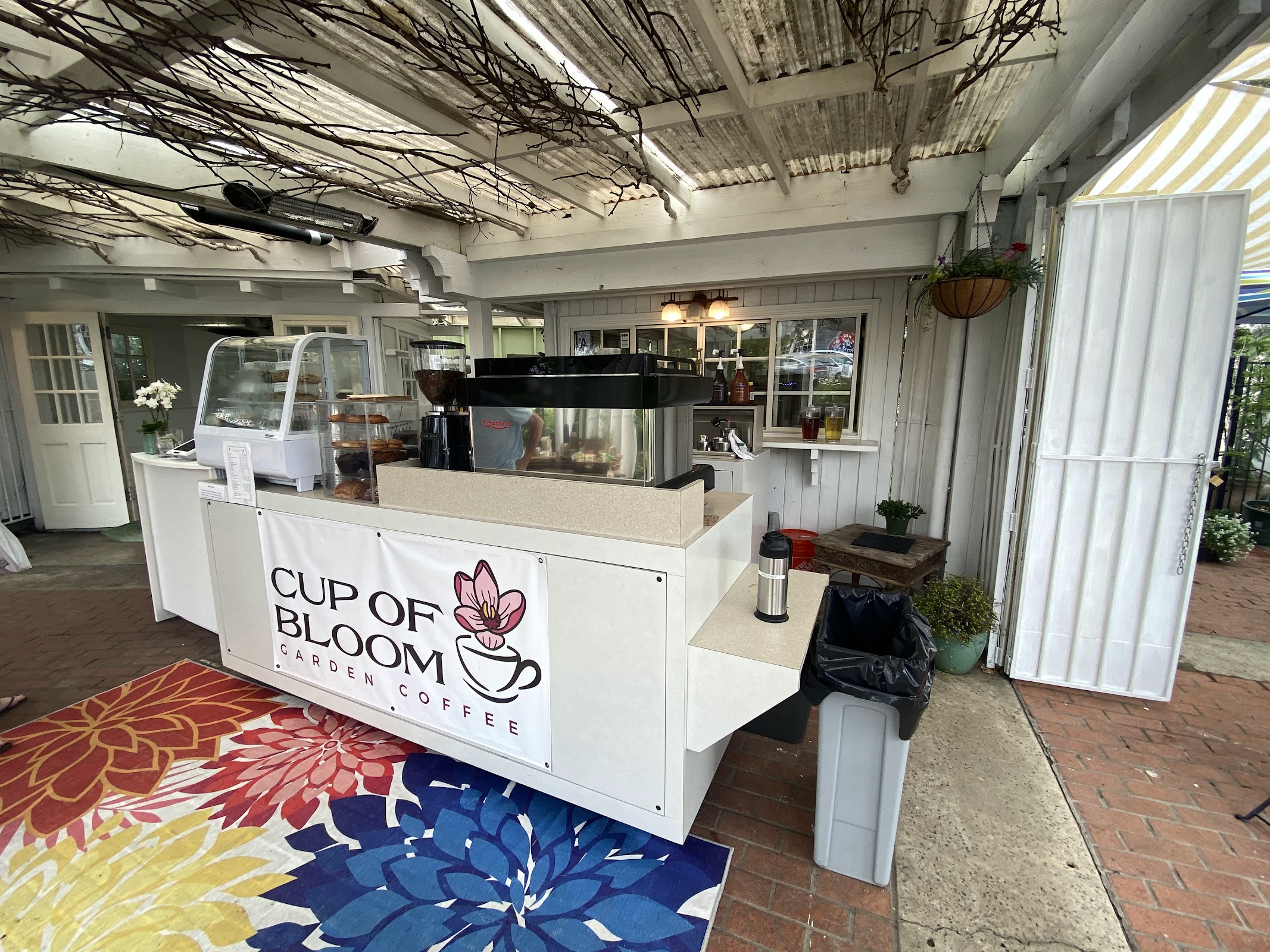 Cup of Bloom La Jolla photo 3