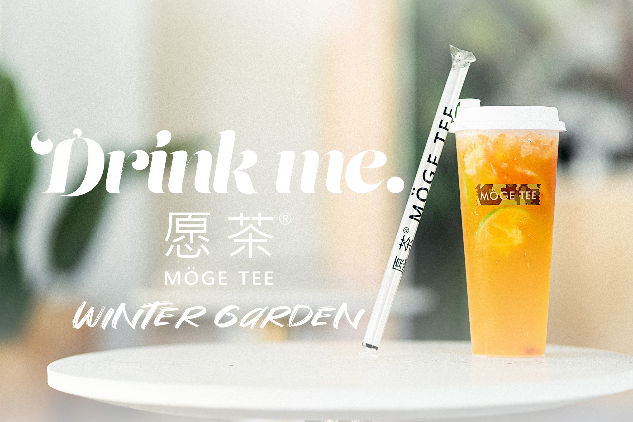 Möge Tee - Winter Garden photo 1