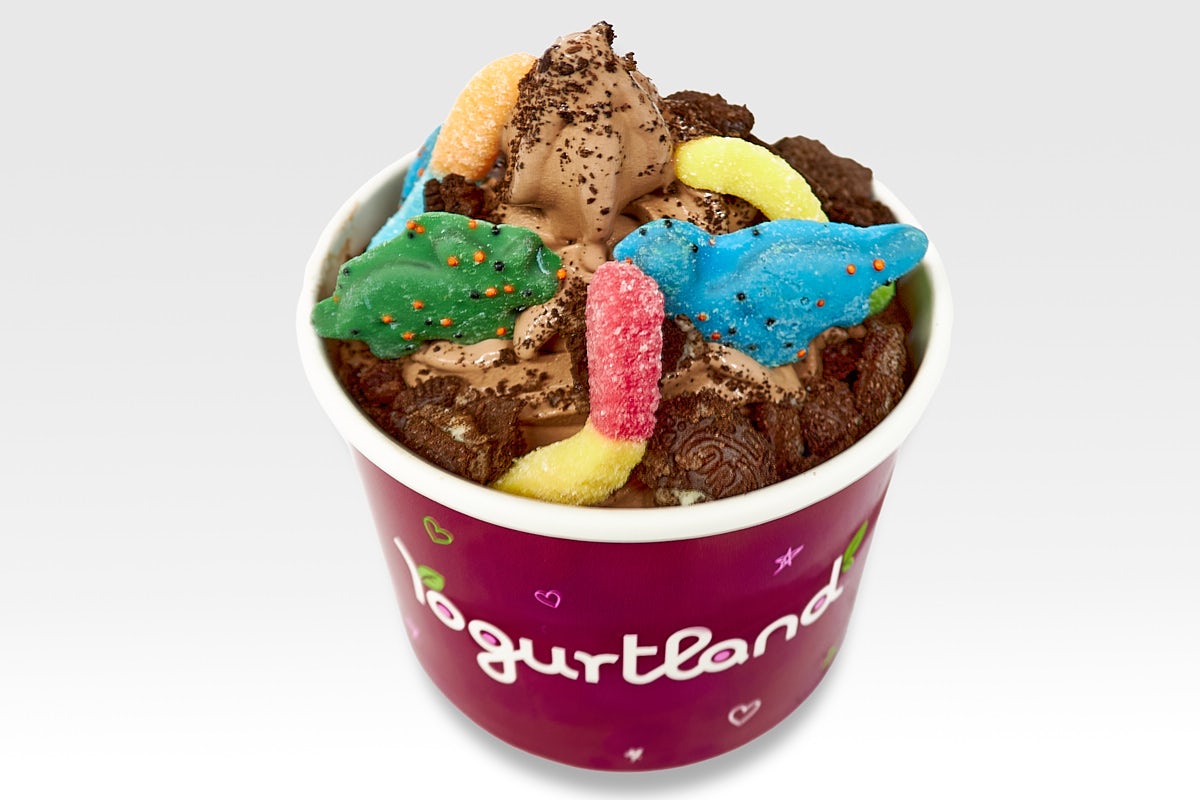 Yogurtland Burbank photo 1