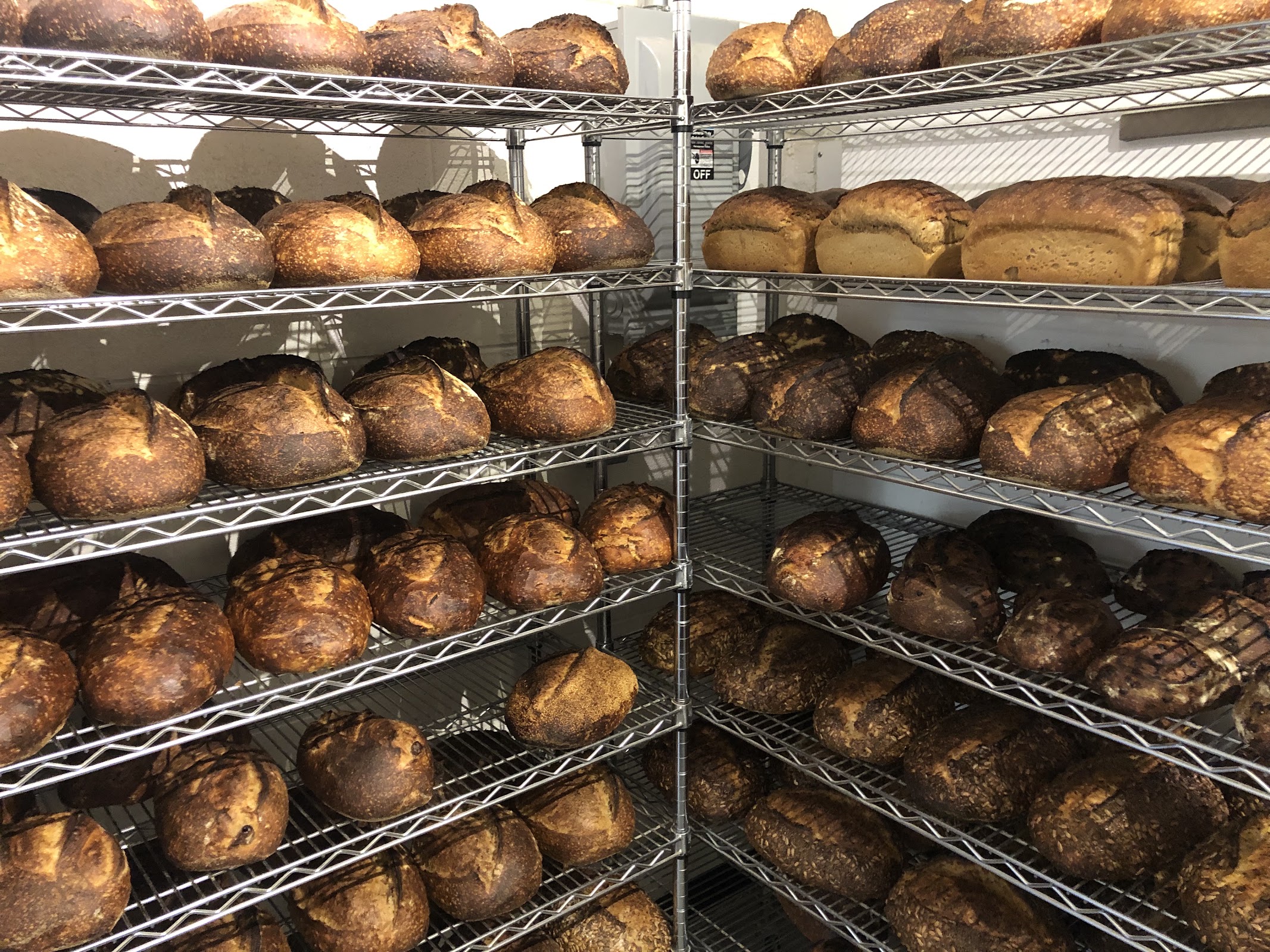 Mighty Bread Company photo 1