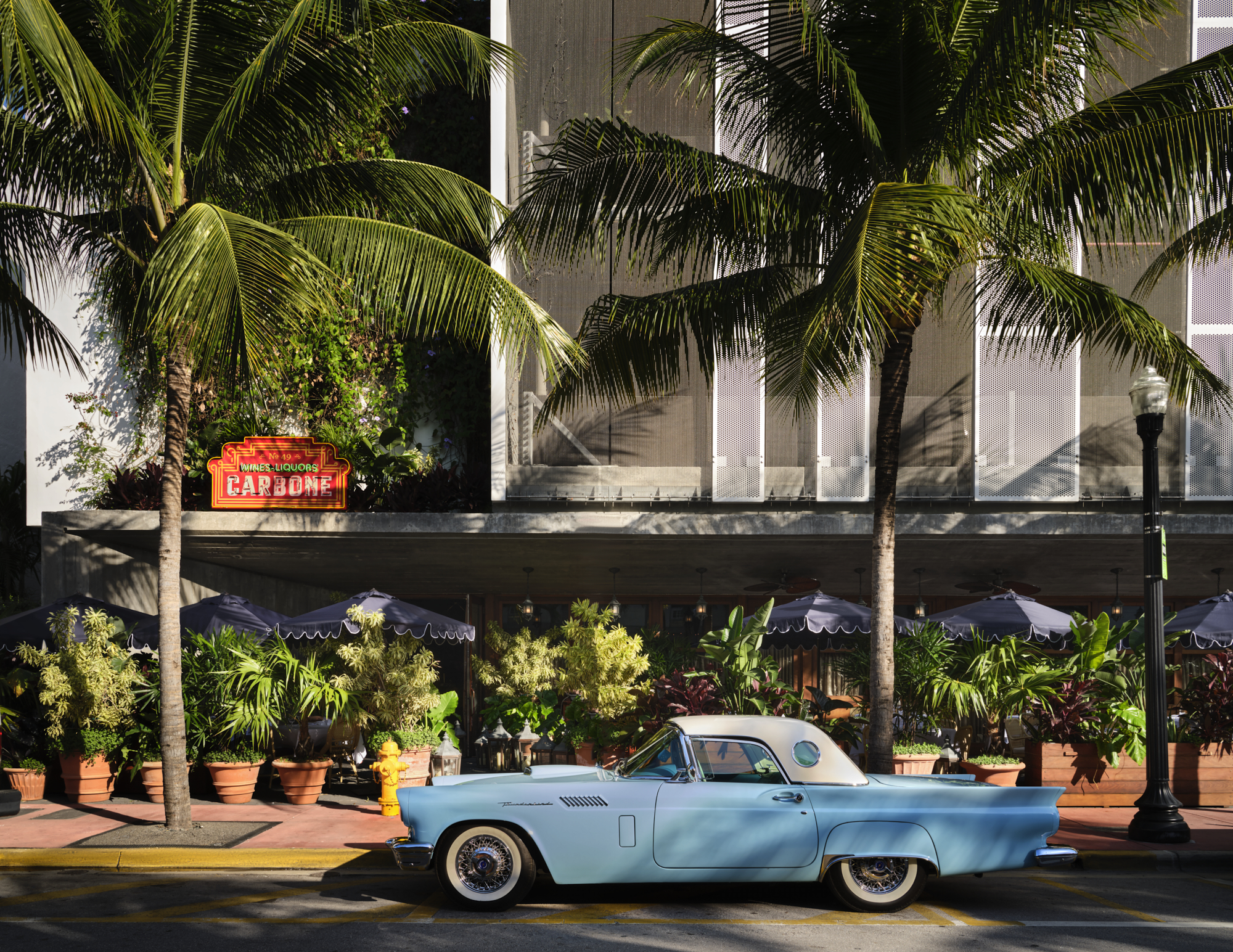 Carbone Miami photo 3