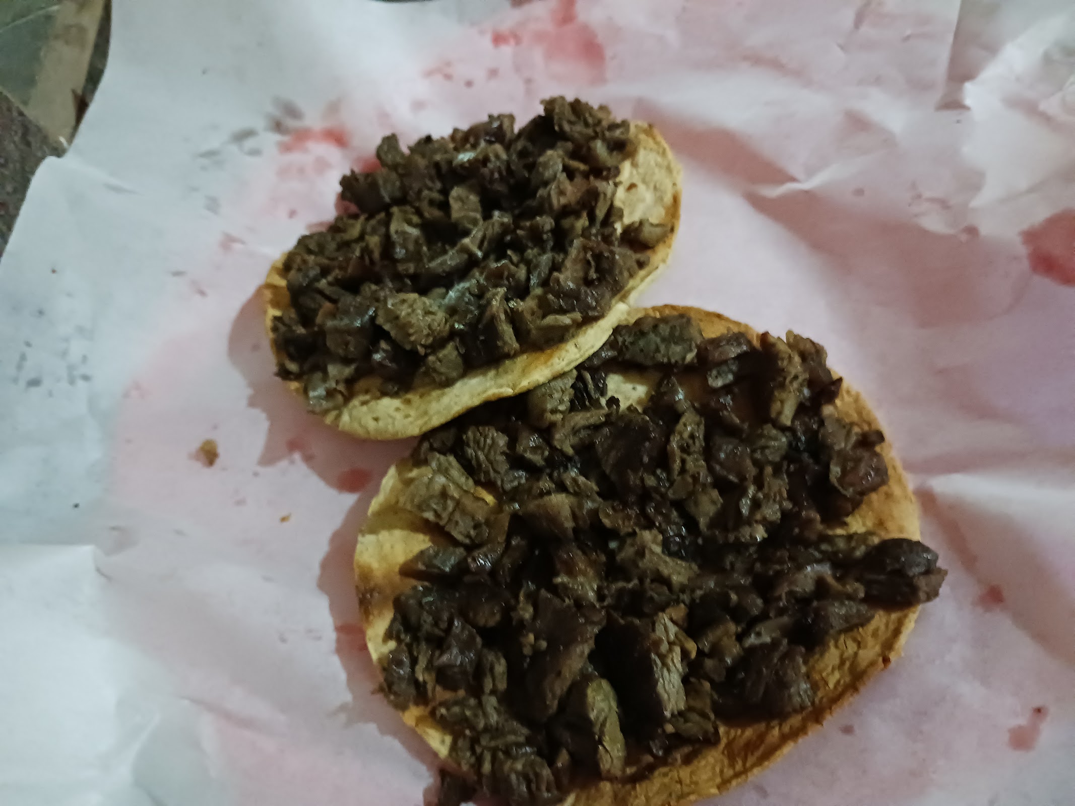 Tacos Ducks photo 2