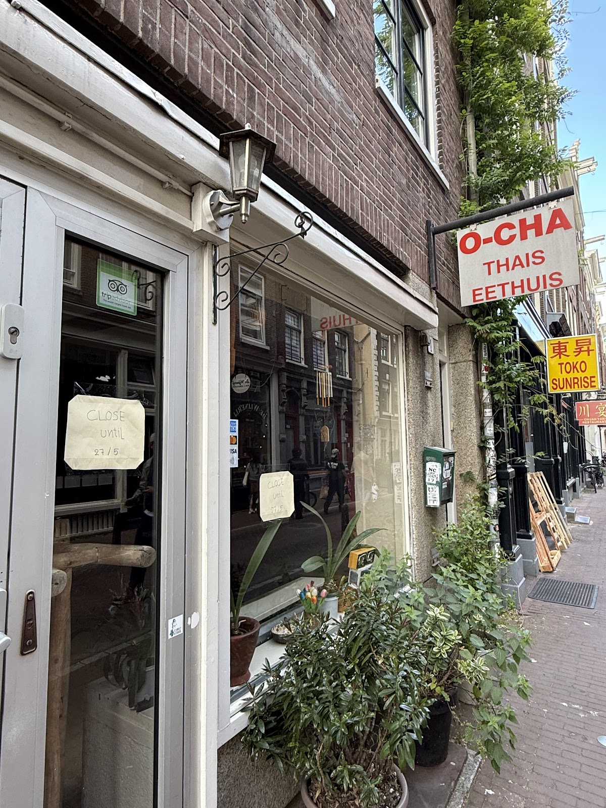 OCHA Thai Restaurant photo 3