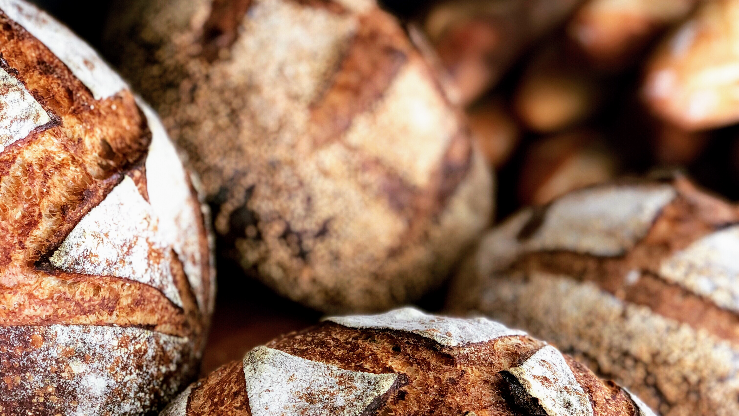 House Of Bread photo 2