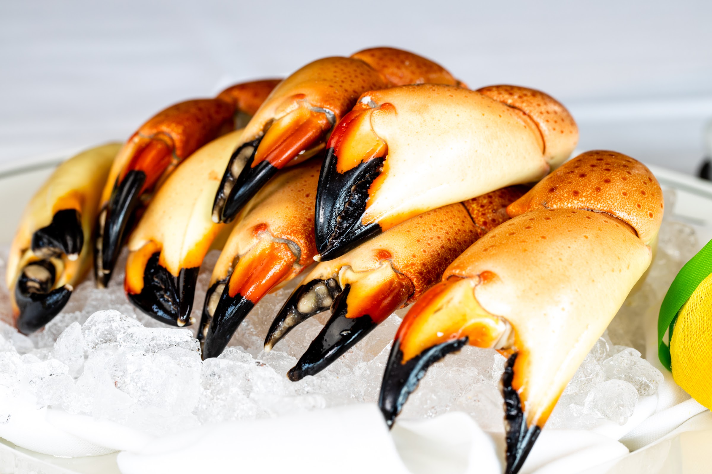 Truluck's Ocean's Finest Seafood and Crab photo 1