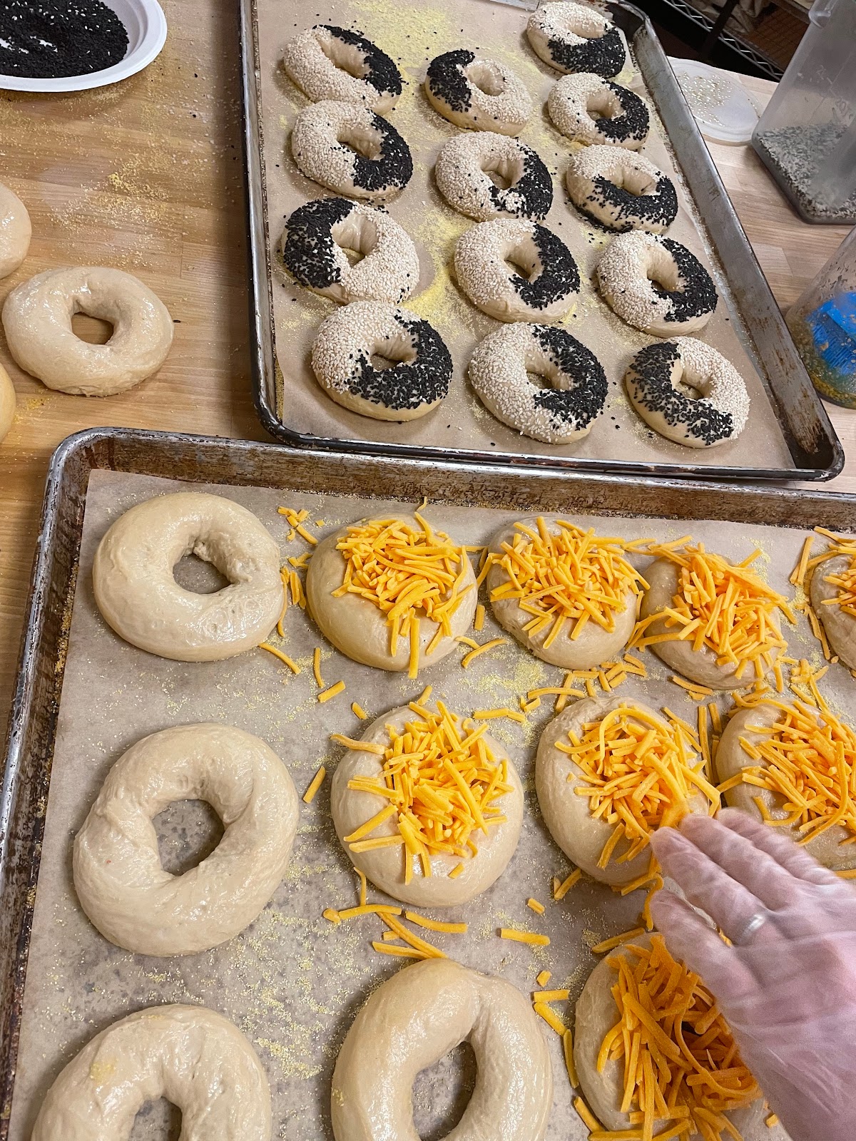 Hidden Bagel photo 1