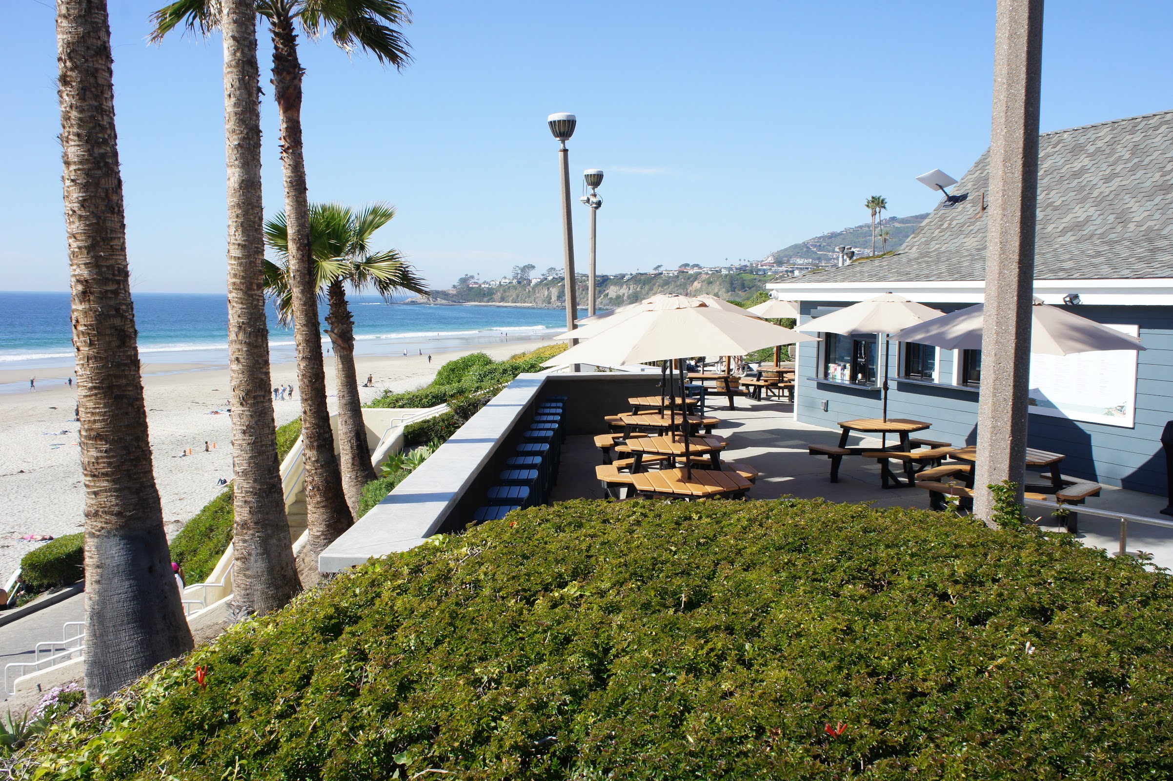 Young’s Beach Shack photo 3