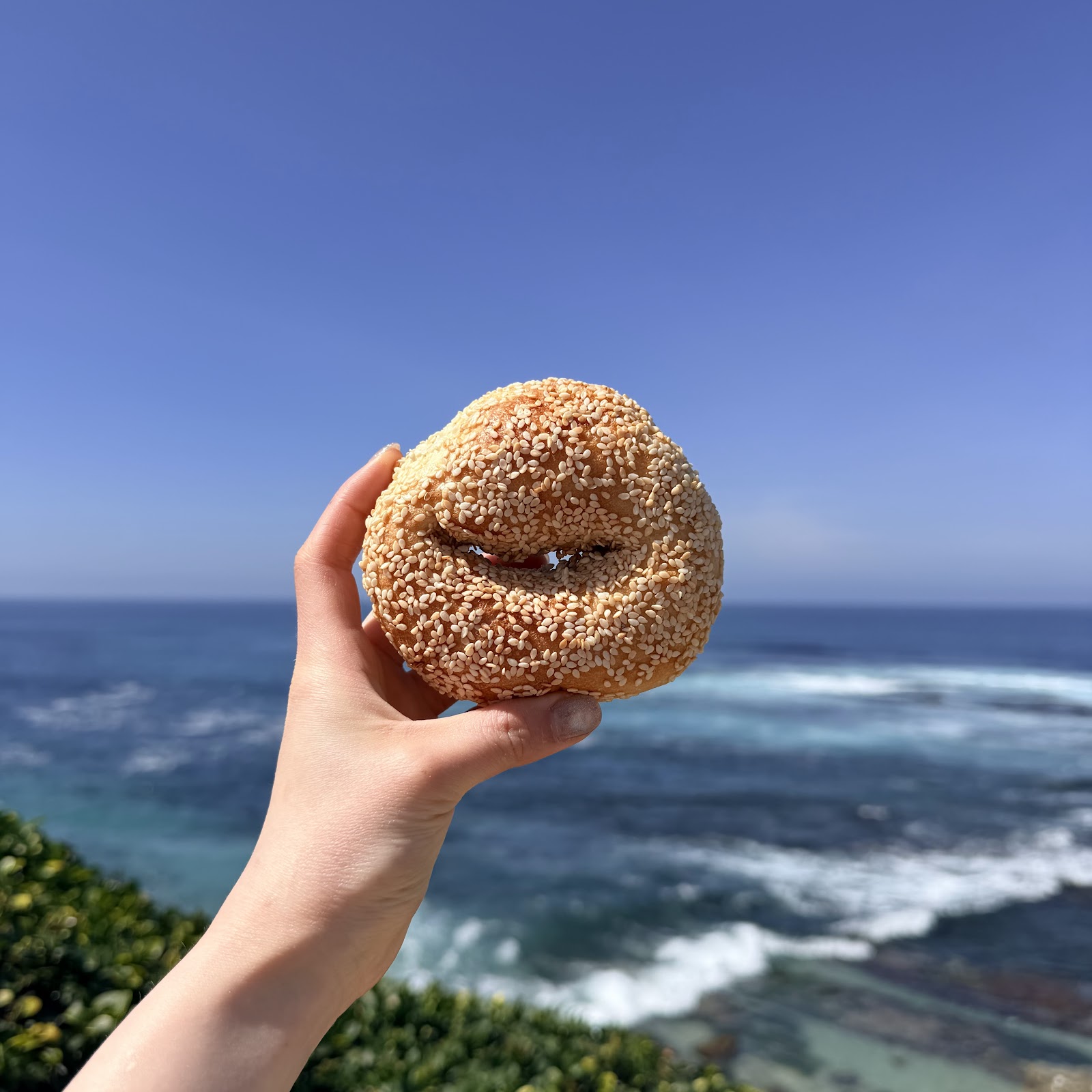 PopUp Bagels photo 1