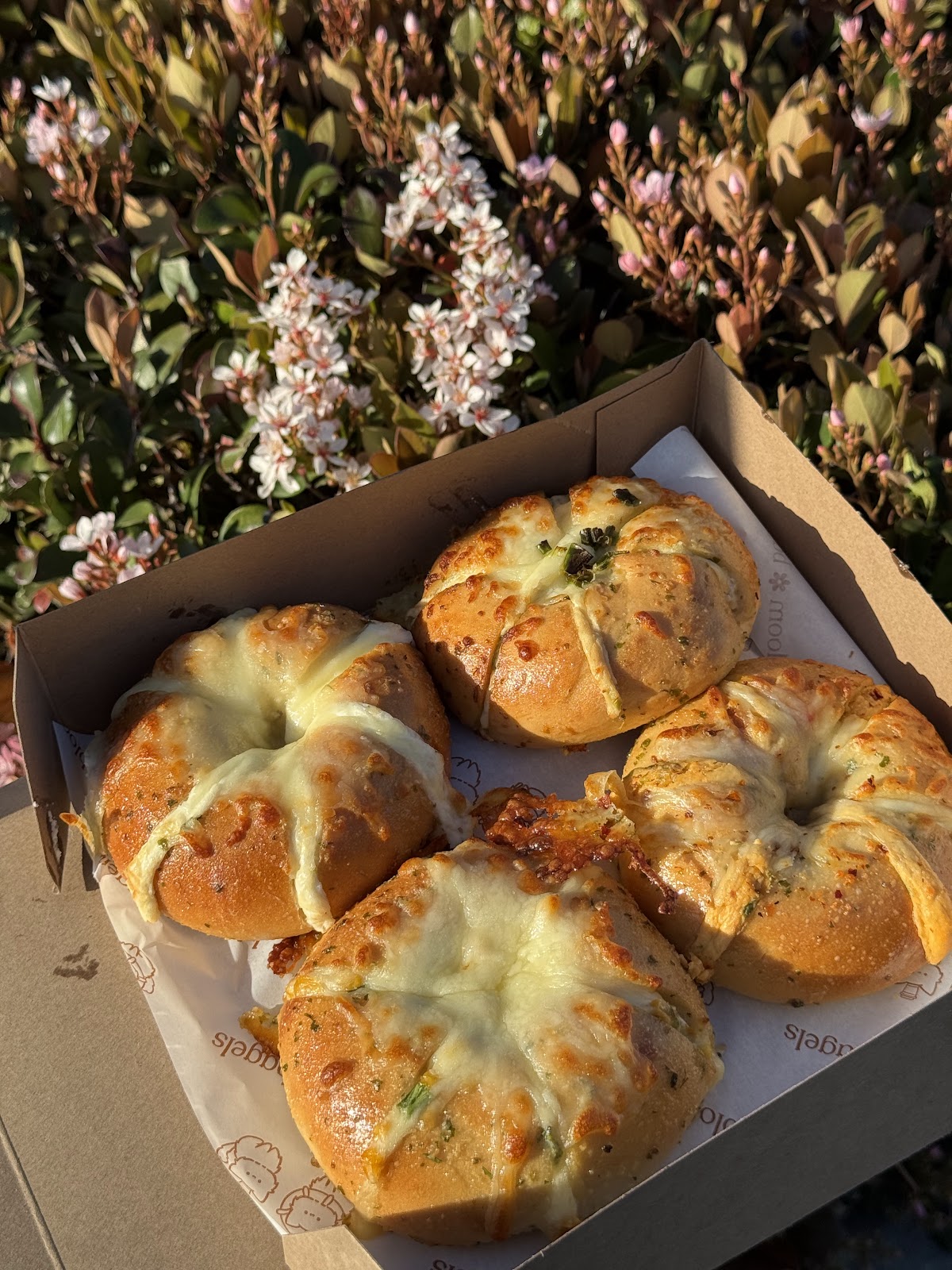Bloom Bagels photo 2