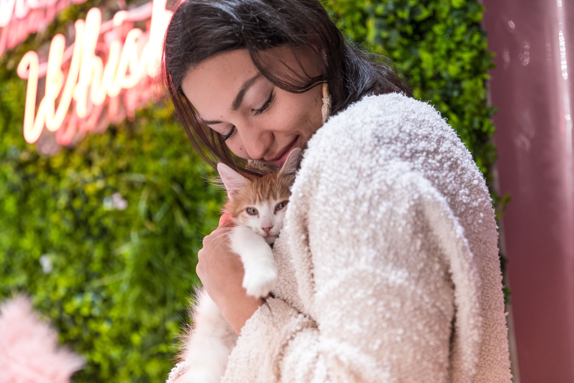 Crumbs & Whiskers | Kitten & Cat Cafe photo 1