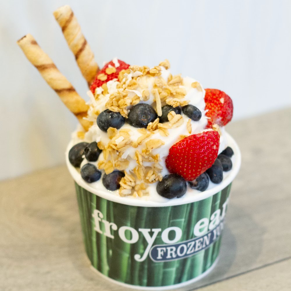 Froyo Earth photo 1