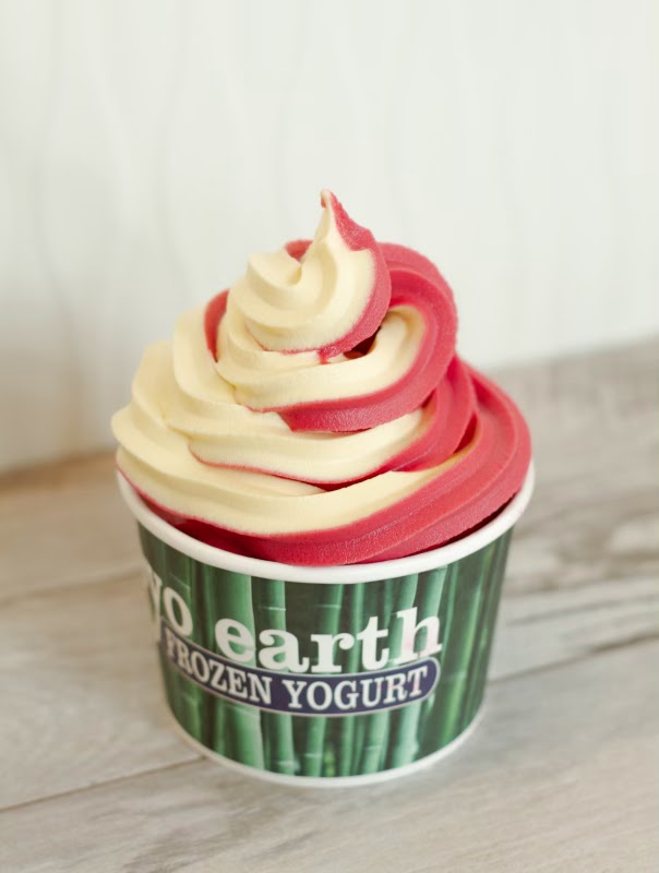 Froyo Earth photo 3