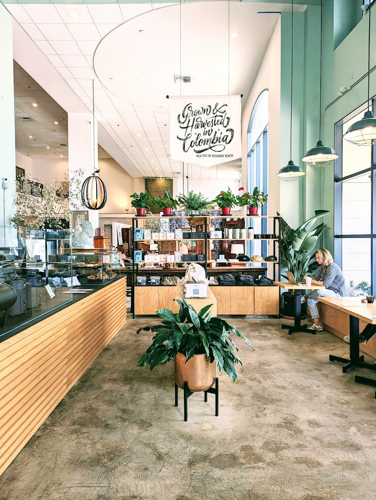 The Boy & The Bear - Sherman Oaks photo 2