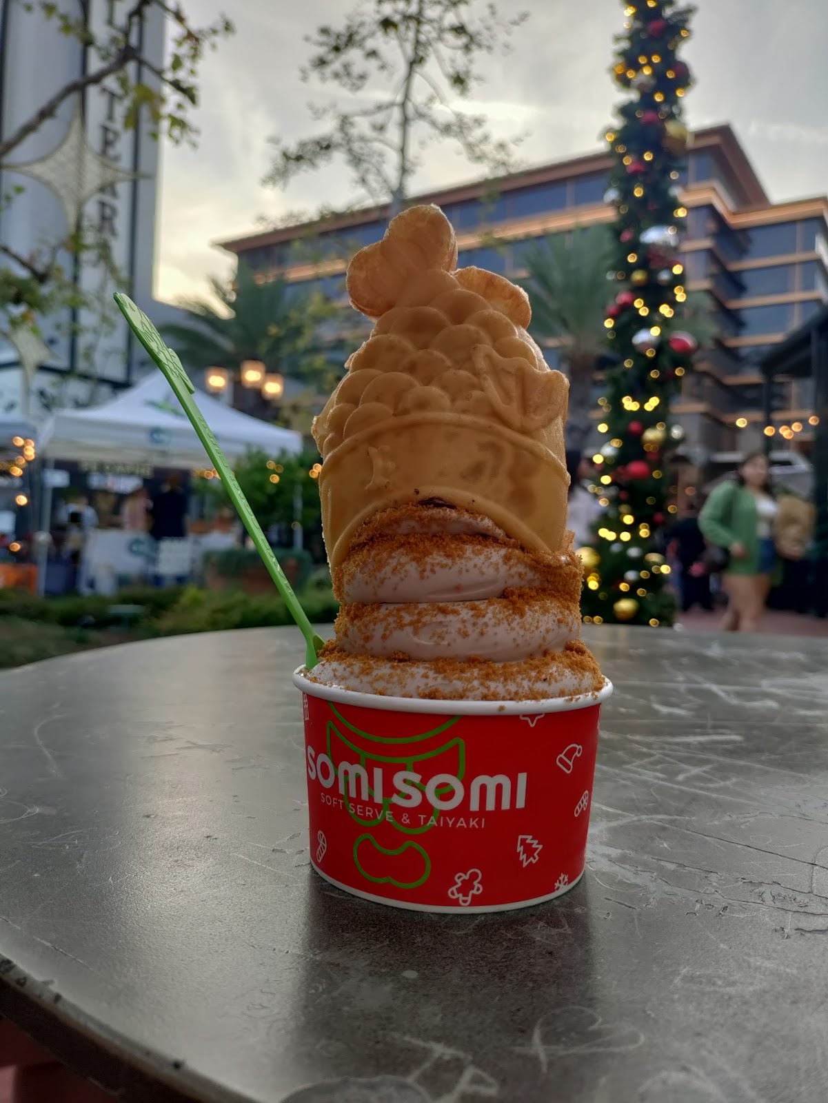 Somisomi photo 2