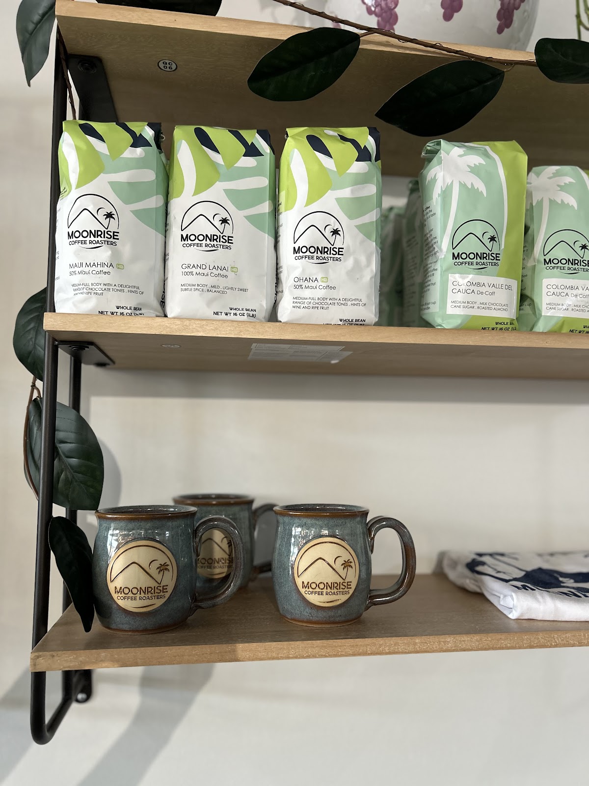 Moonrise Coffee Roasters photo 2