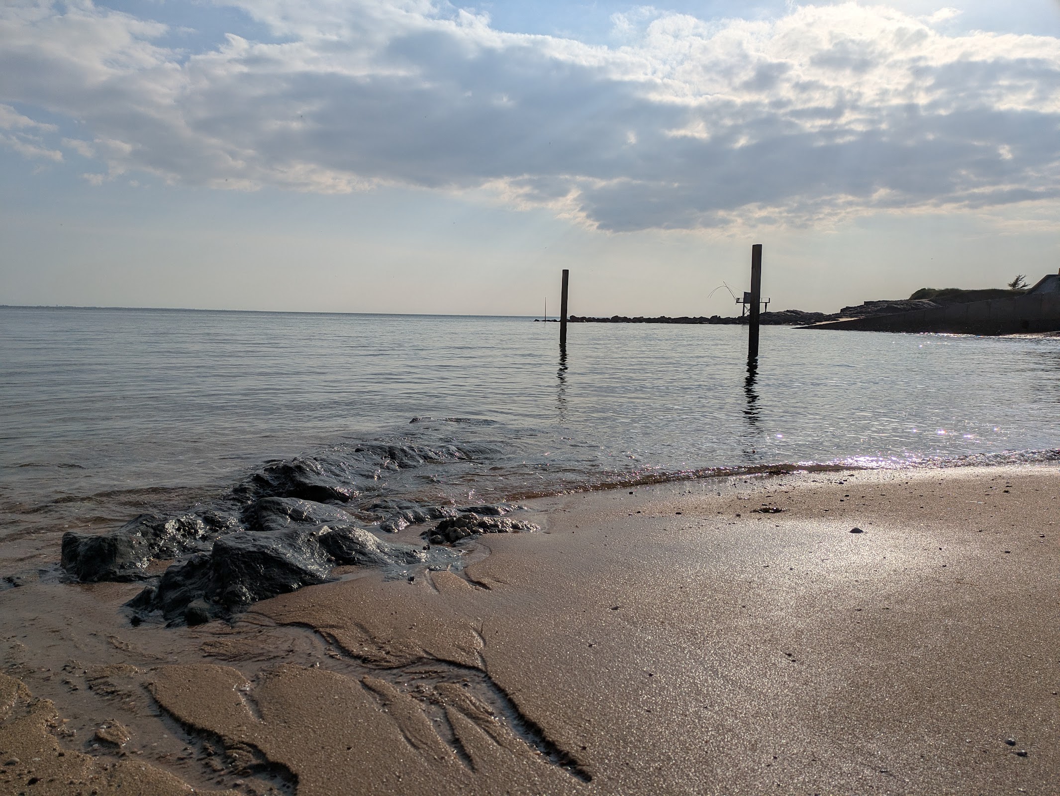 Le Papagayo photo 2