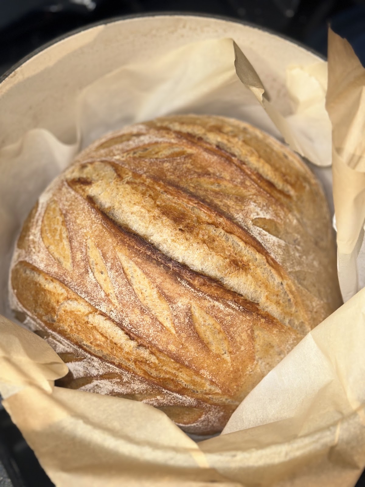 Sourdough Society Storefront photo 1