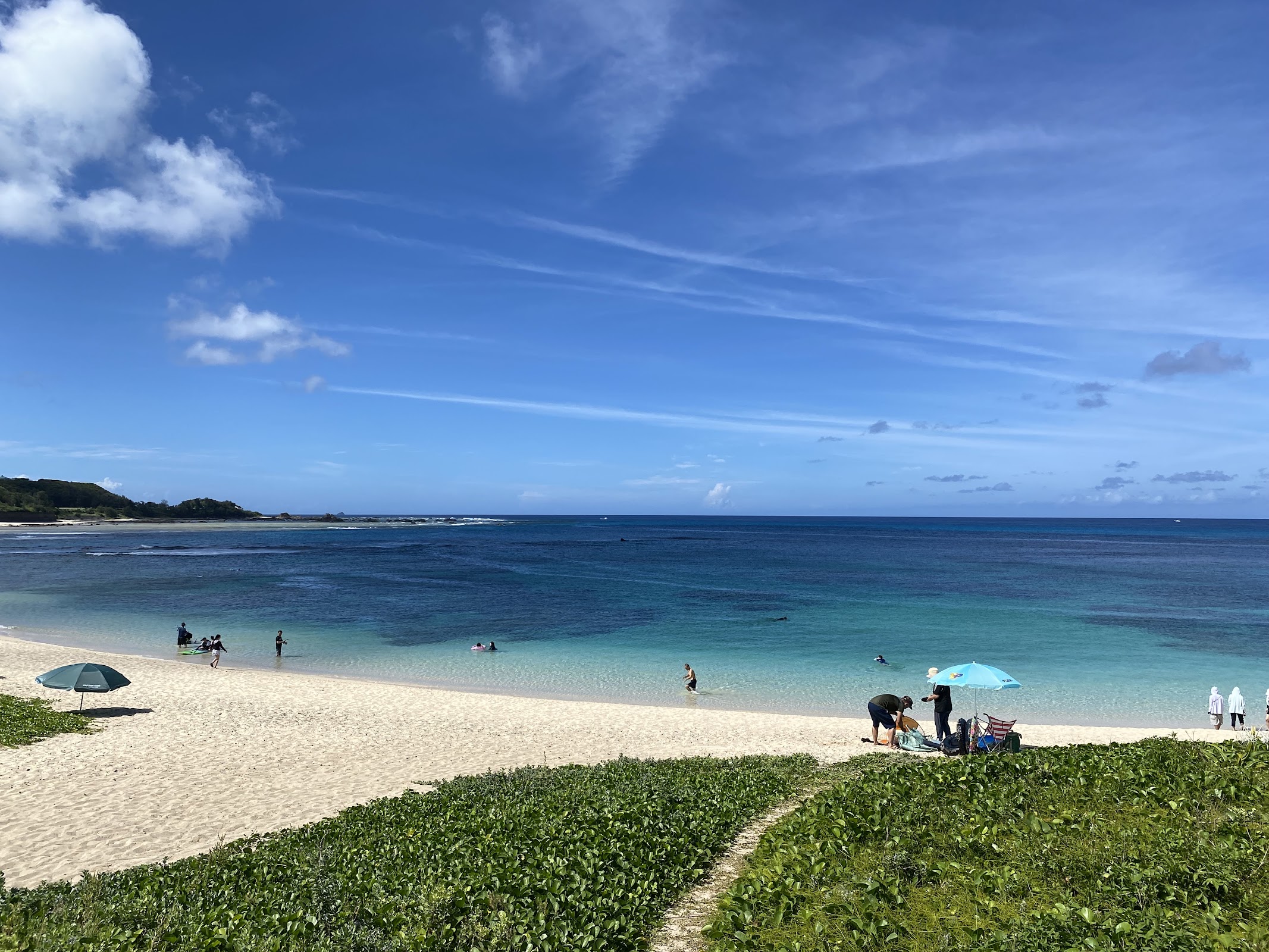 やみつき唐揚げ photo 2