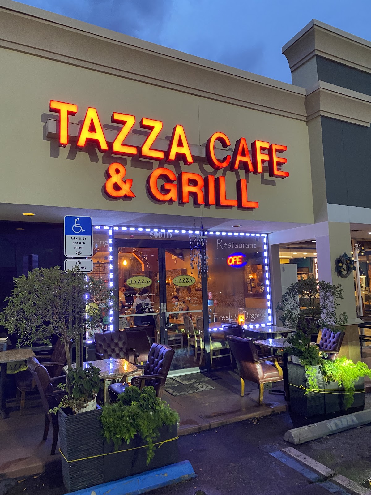 Tazza Turkish, Mediterranean Grill Tampa photo 3