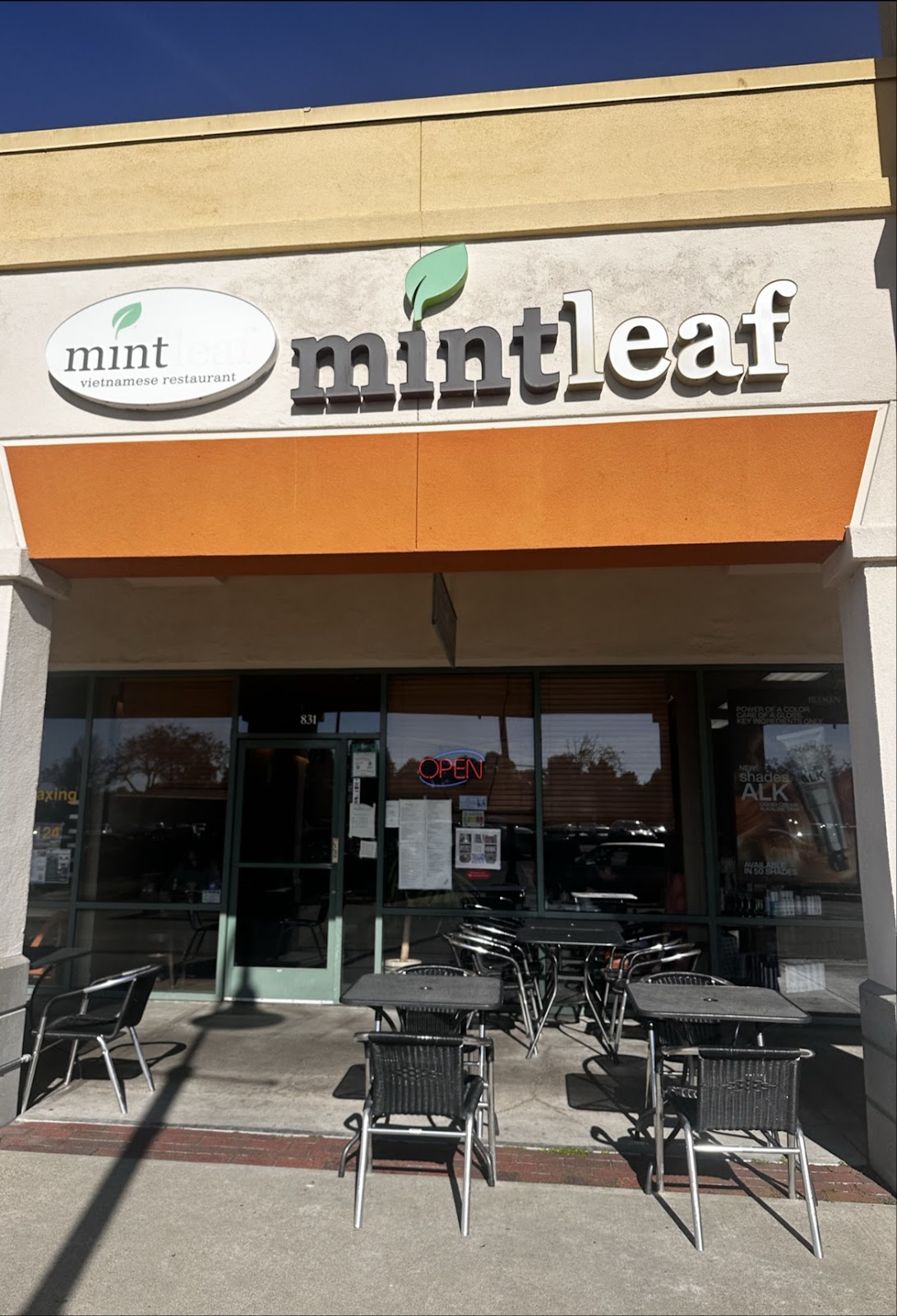 Mintleaf photo 1