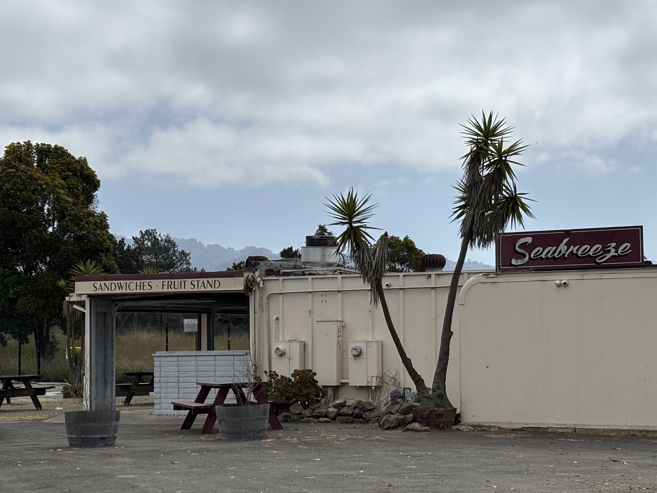 Seabreeze photo 3