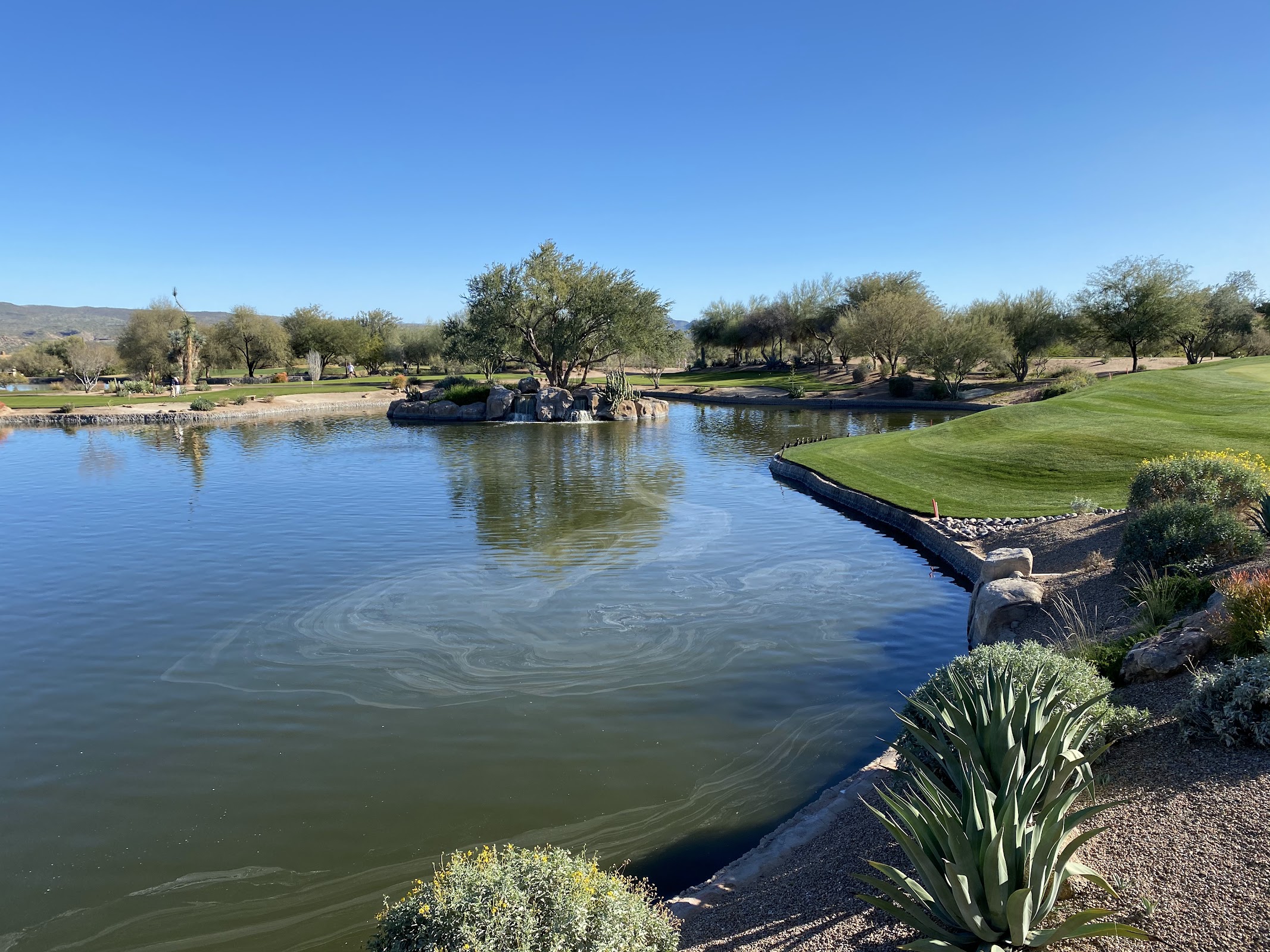 Mesquite Grill At Tonto Verde photo 3