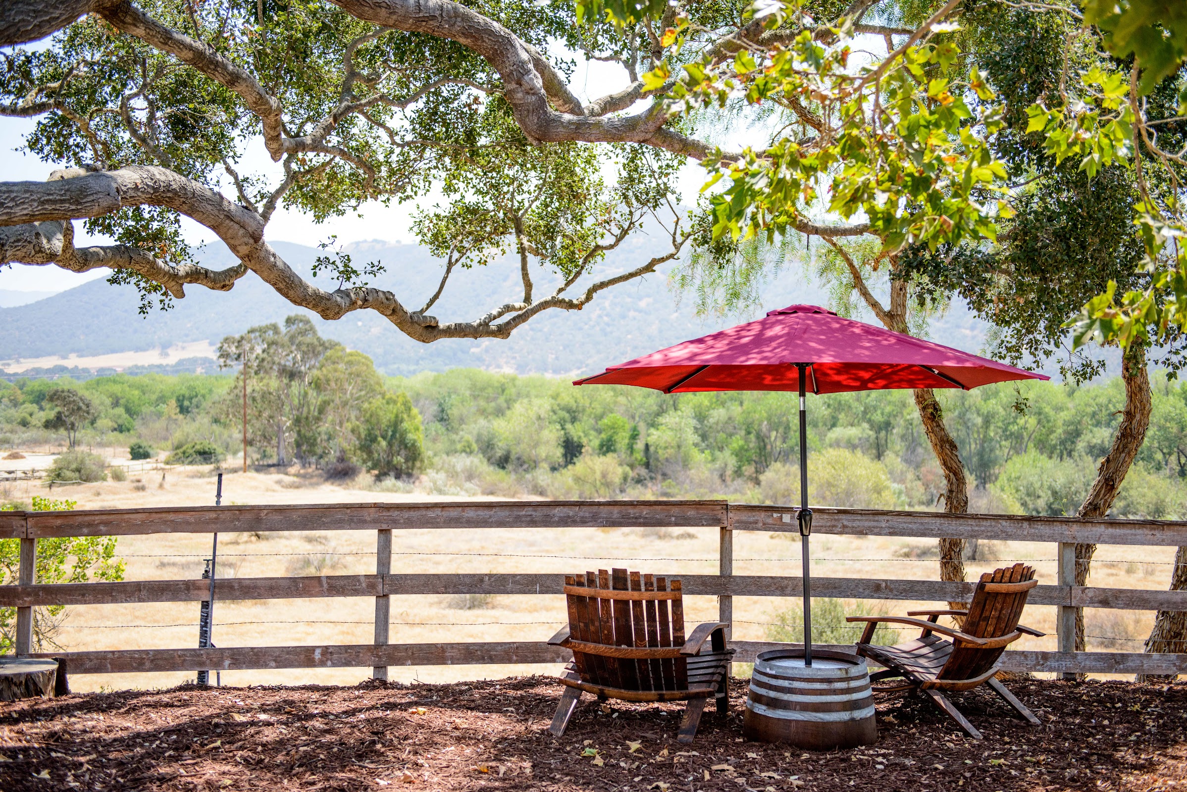 Hitching Post Wines photo 2