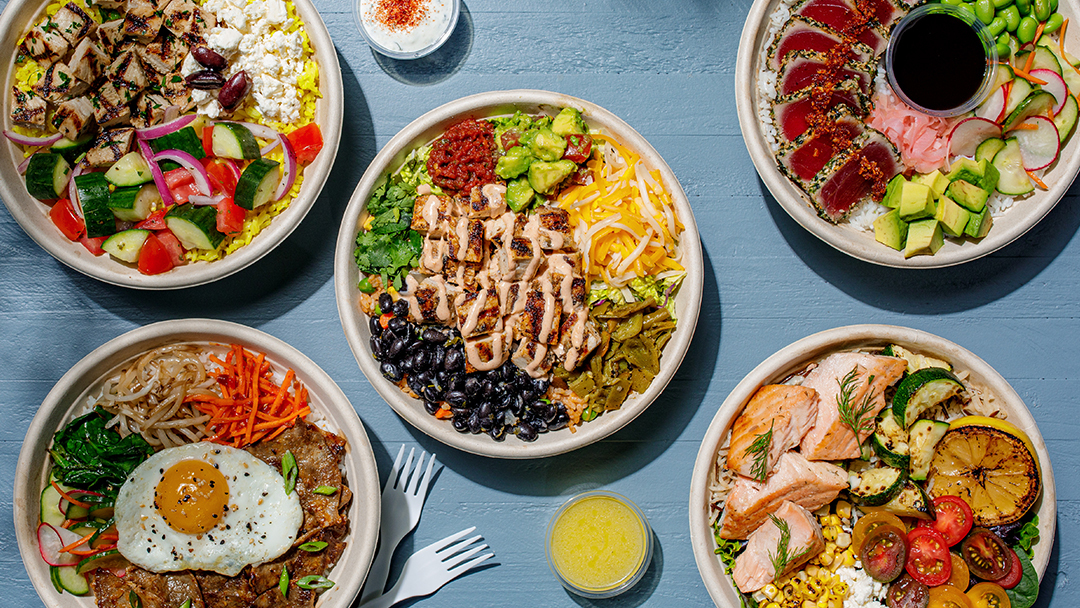 Roadtrip Bowls Made by Lazy Dog photo 1
