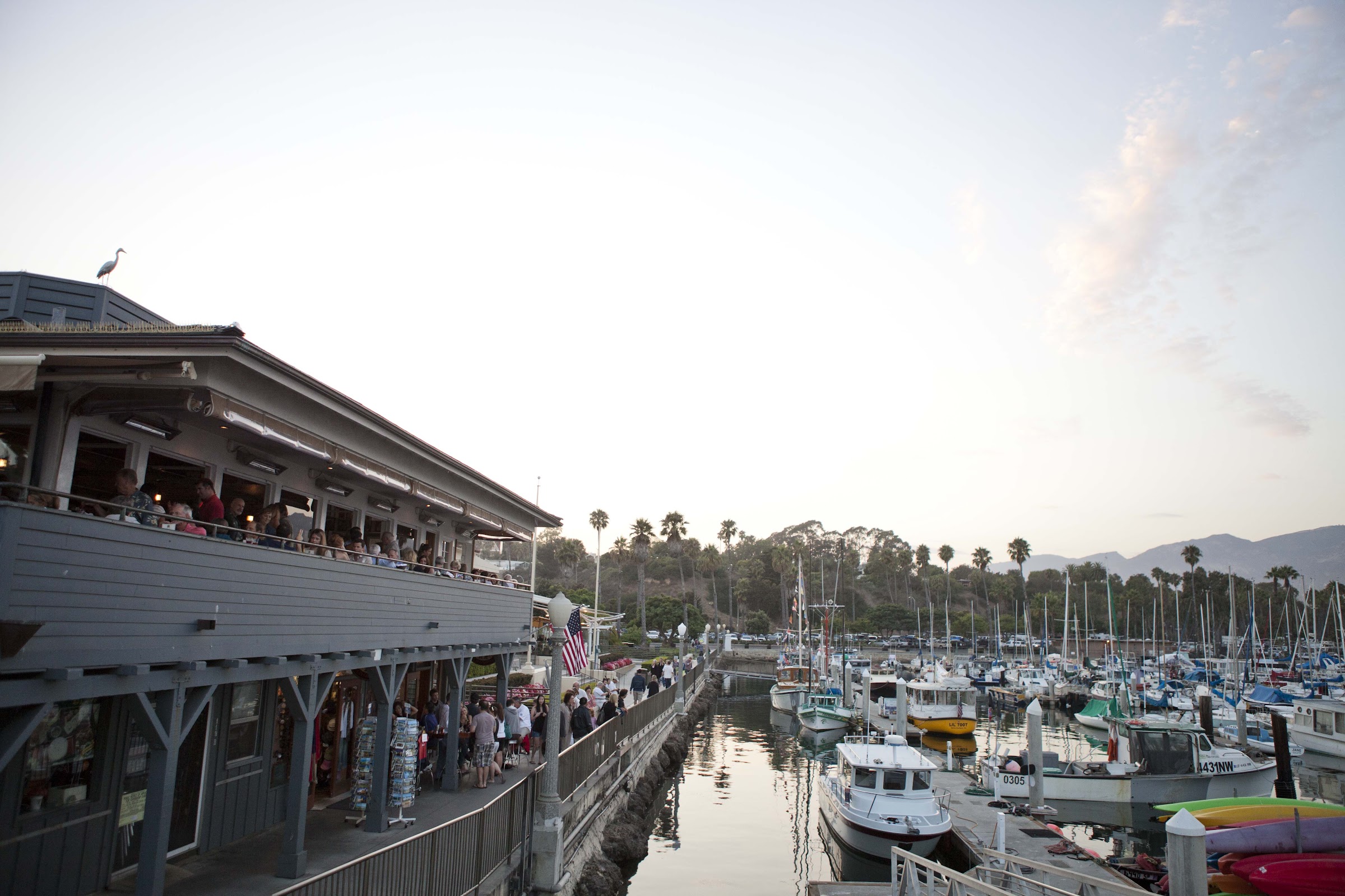 Brophy Bros. Santa Barbara photo 3